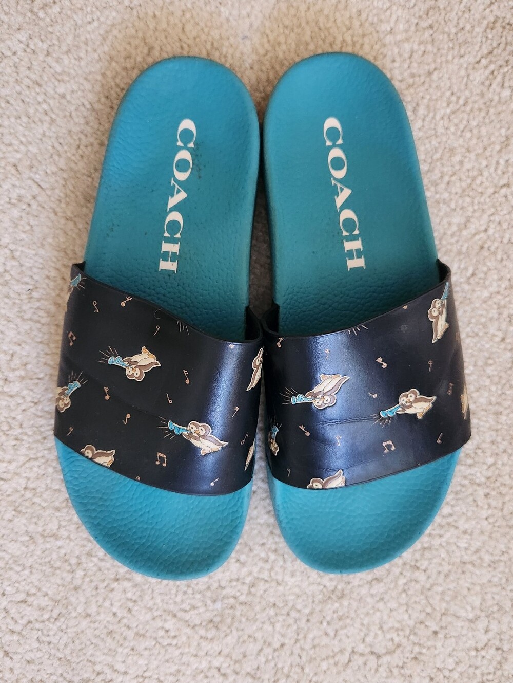 Coach Slides